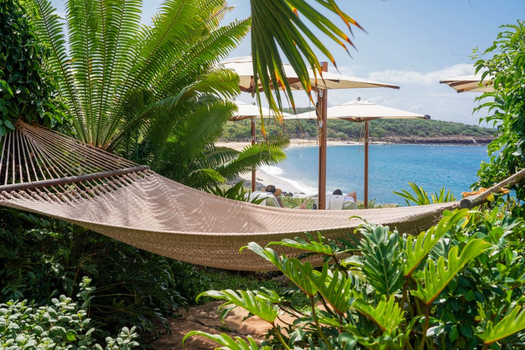hammock beside the ocean