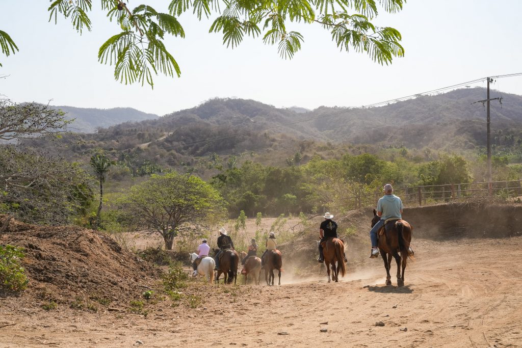 horseback riding