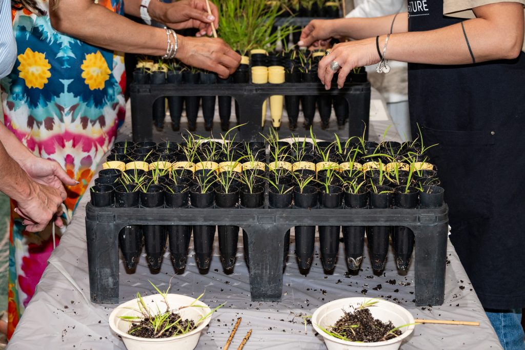planting native plants for giveback