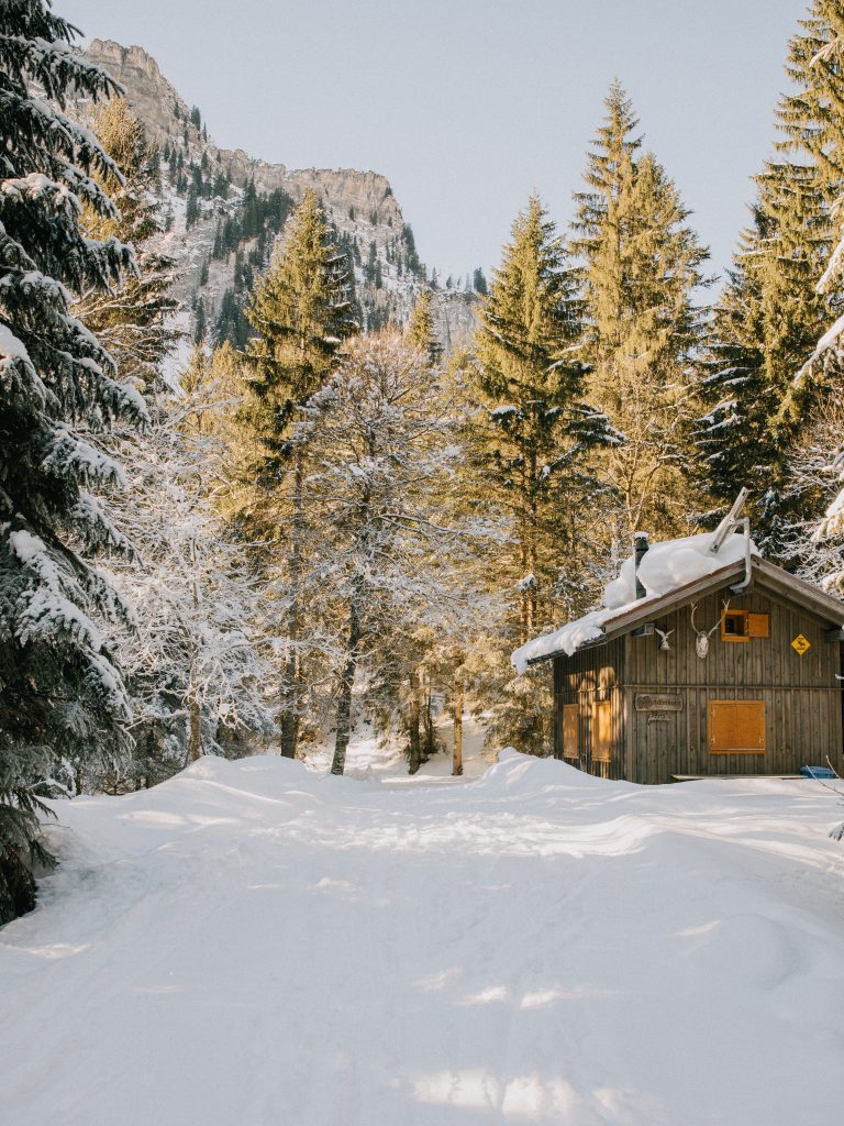 cabin in the mountains