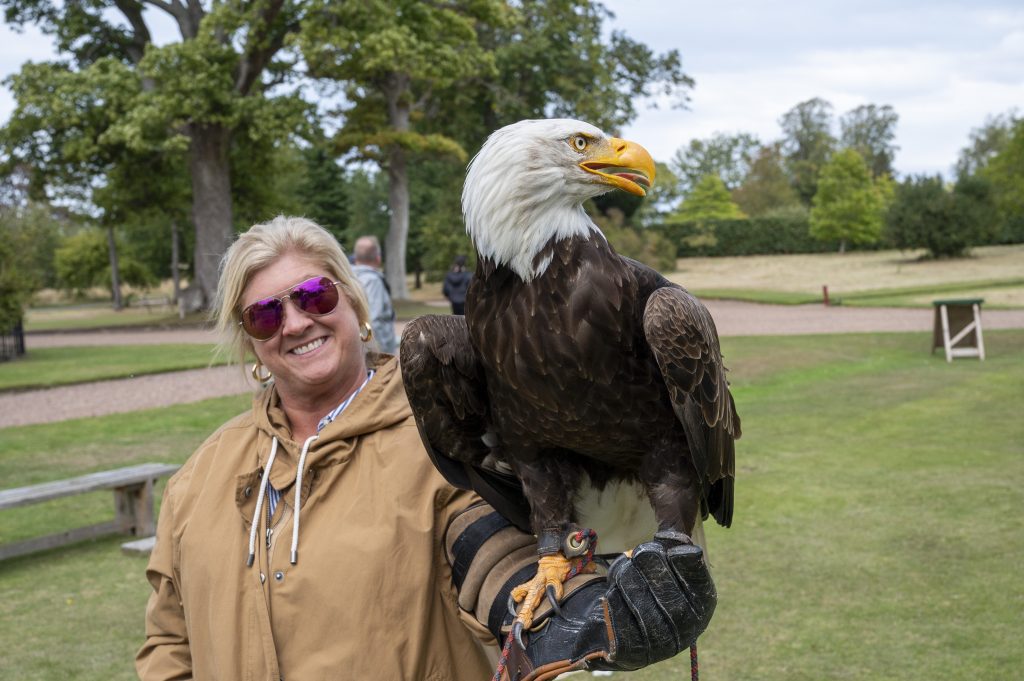 eagle perched on attendee arm during incentive trip