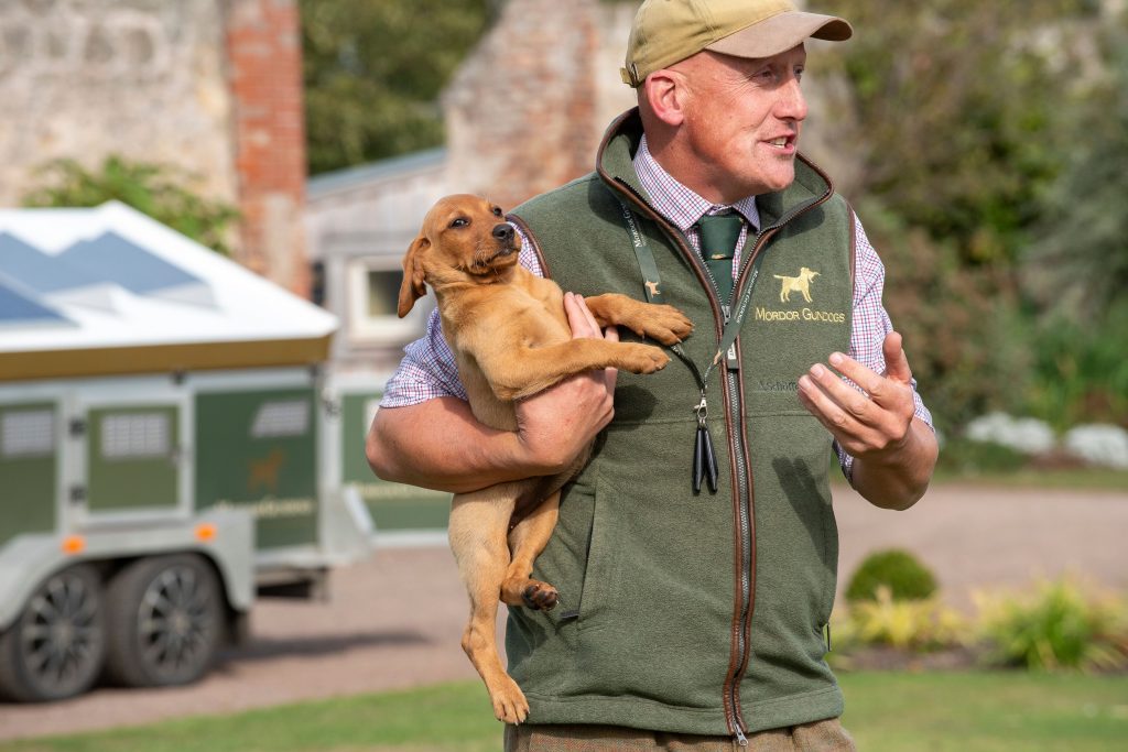 puppy from gun-dog demonstration